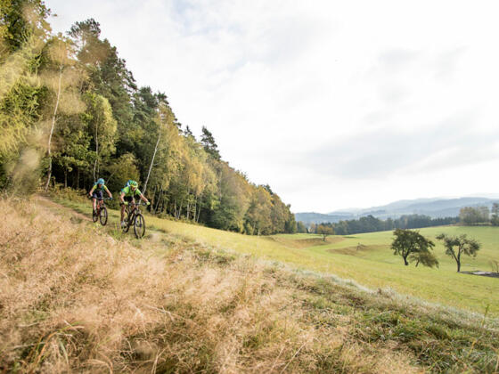 Bike_im-M%c3%bchlviertel_Ober%c3%b6sterreich-Tourismus_Moritz-Ablinger_gusentalradweg