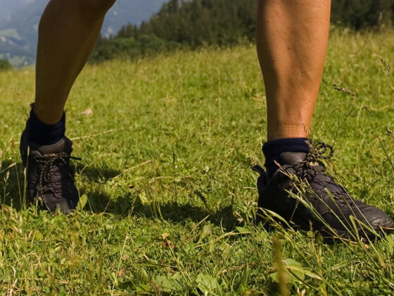 Wandern