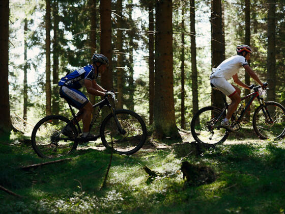 MountainbikerWaldSonneBlätter_TVBMühlviertlerAlmFreistadt_RobertDiesenreither.jpg