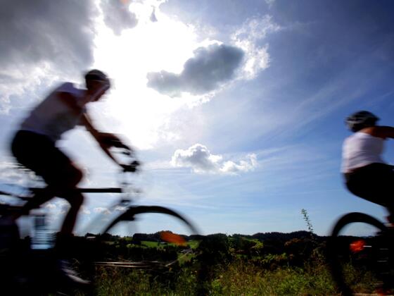 MountainbikeWald_OberoesterreichTourismusMuehlviertlerAlmFreistadtMoritzAblinger.jpg