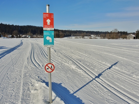 Loipe Weiler im Allgäu