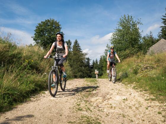 MountainbikerGranit_TVBMühlviertlerAlmFreistadt_RobertDiesenreither.JPG