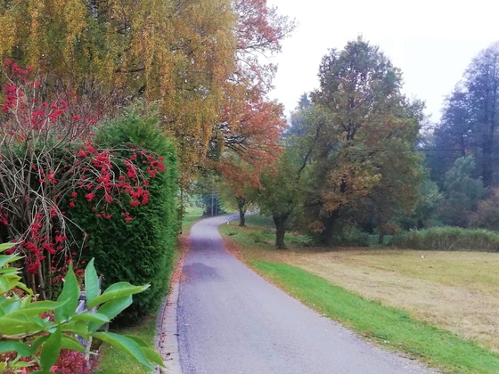 Auf dem Weg durch Unterhaindlfing