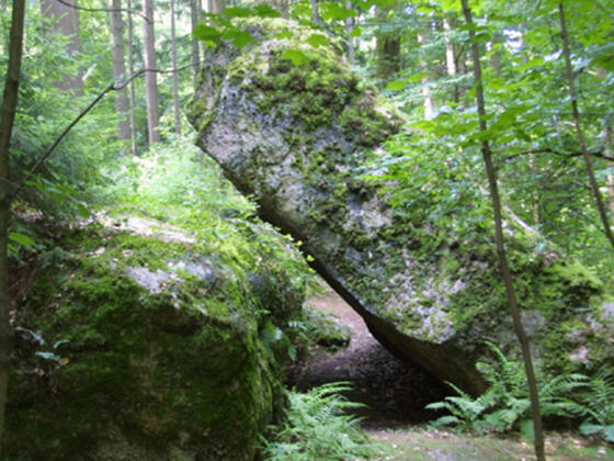 Ausschnitt aus der Tour