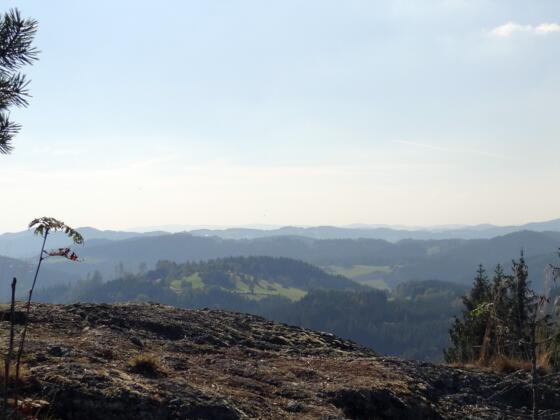 Blick vom Nesselberg