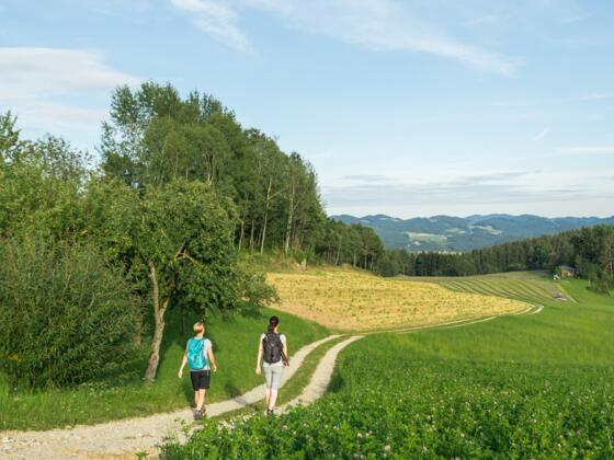 Wandern am Alm-Granitweg