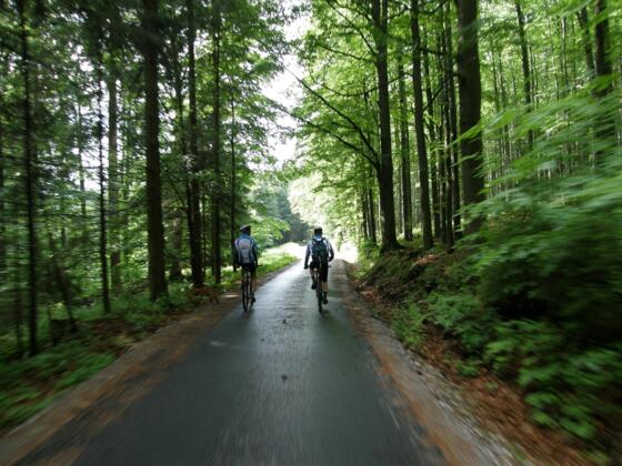 Biken in Waldburg