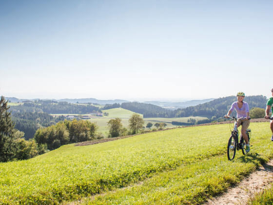 Radfahren im Mühlviertel