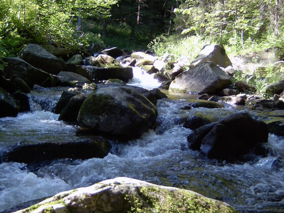 Wandern am Aisttalweg
