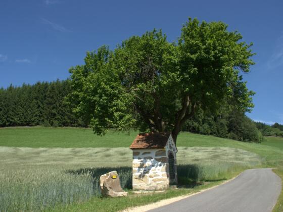 Hofreiter Weiler Weg