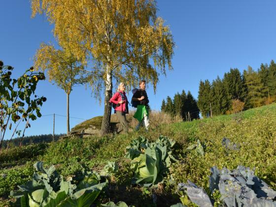Wandern am Hoader-Steig