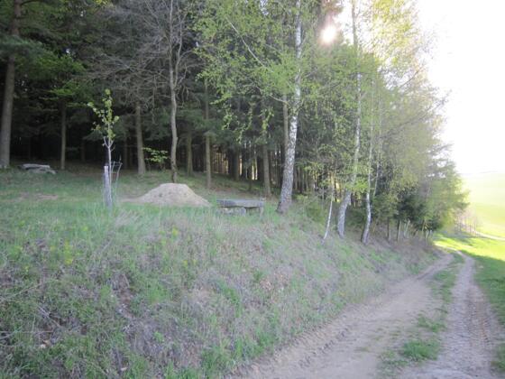 grünbergweg