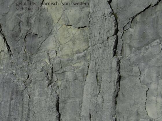 Einstieg Schmetterlingsverschneidung
