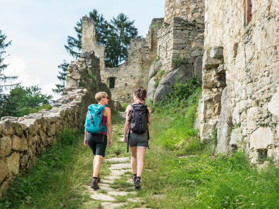 Wanderweg zur Burgruine Prandegg