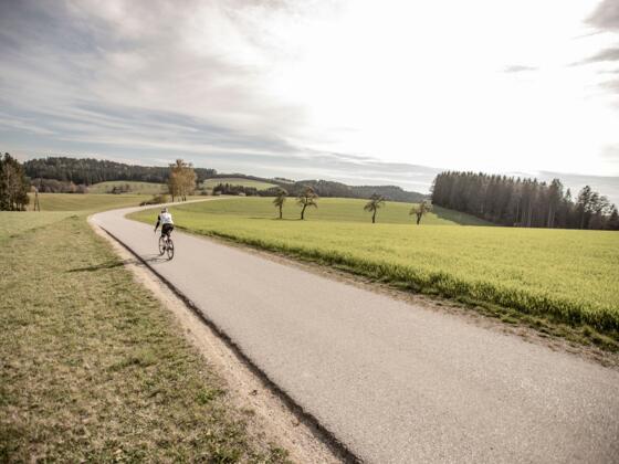 Tour de Alm Road