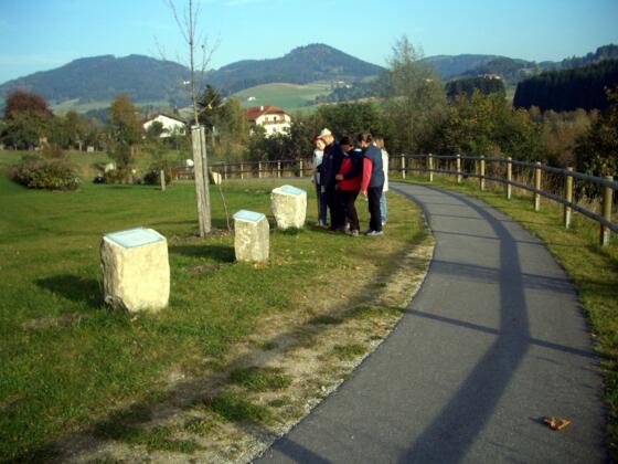 BLW-03.jpg
