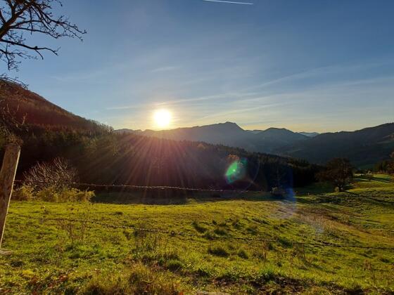 Arthofberg im Herbst mit Sonnenuntergang