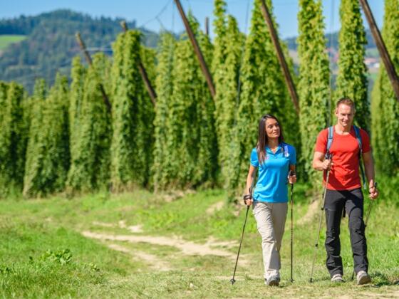 150er Wanderweg