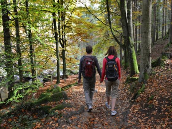 Freiwaldrundweg 2