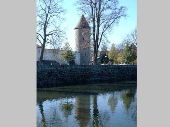 Scheiblingturm Frauenteich