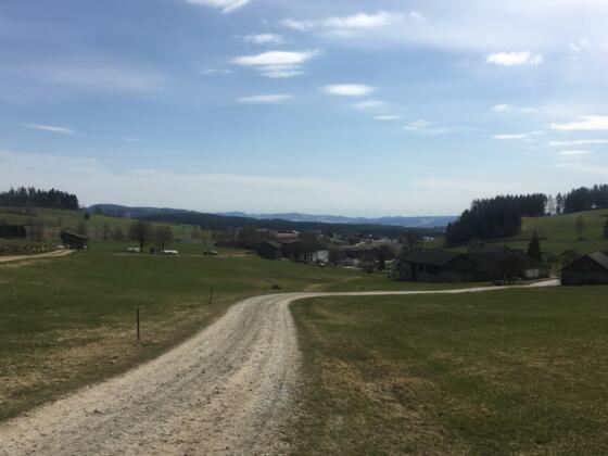 Mountainbike Runde Grünbach