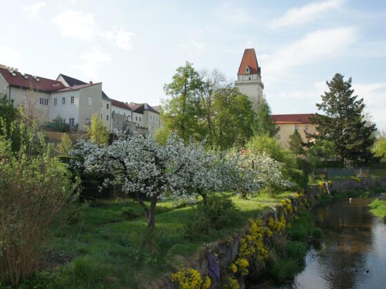 Altstadt Freistadt