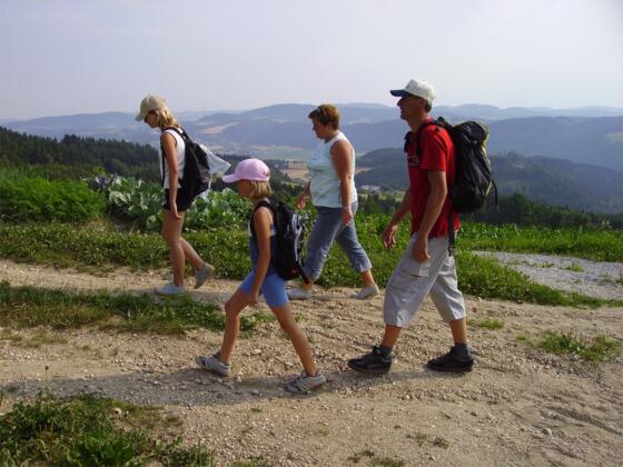 Kempfenberg Rundweg