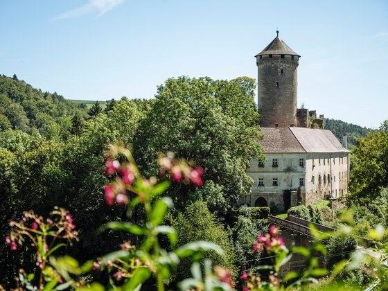Kirchschlag Schloss Wildberg