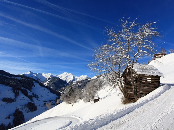Aussicht