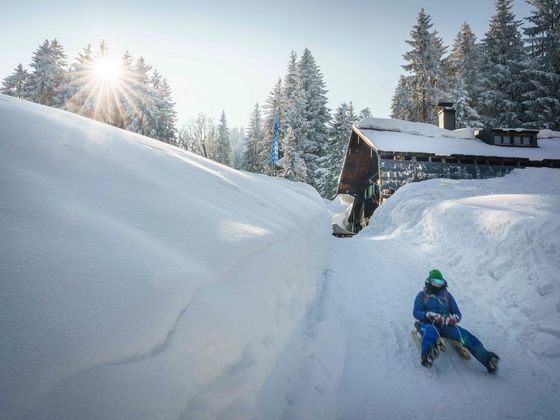 Rodelbahn Buchsteinhütte-Schwarzentenn
