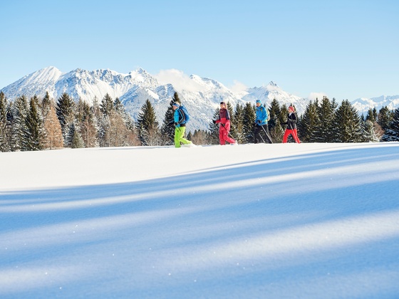 Schneeschuhwandern durch tiefverschneite Wälder