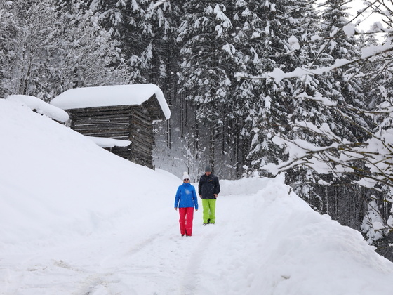 Winterwandern