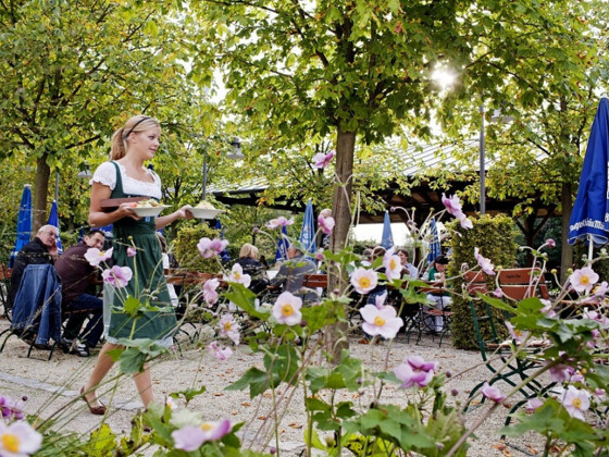 Biergarten im Schloss Hohenkammern