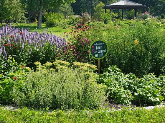 Kurpark Kreuth