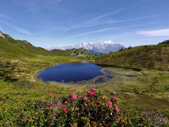 Paarseen