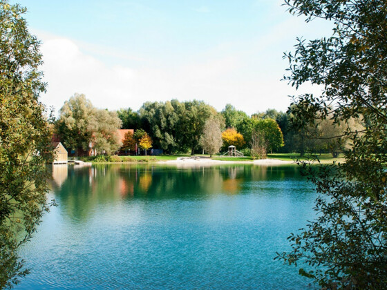 Neufahrn_Mühlsee Neufahrn_Naturaufnahme See mit Seeinsel_web_© Gemeinde Neufahrn