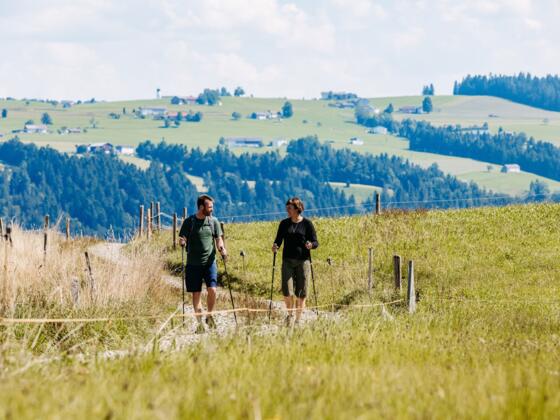Premium-Spazierwanderweg Sonne & Weide