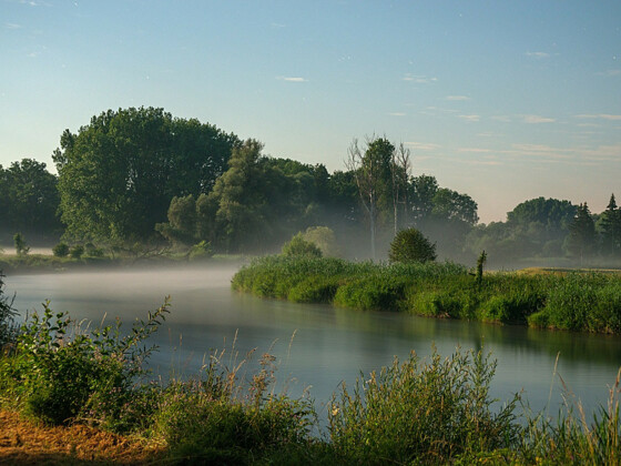 Amperauen bei Moosburg a. d. Isar