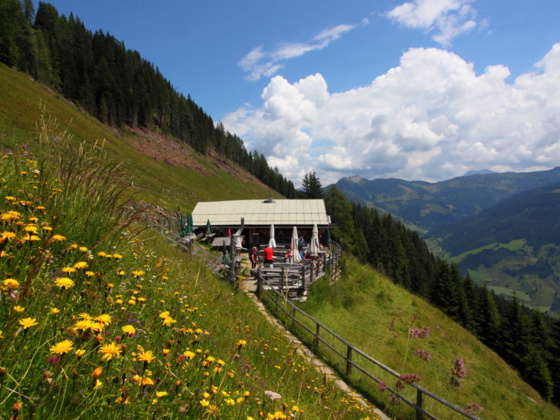 Viehhausalm