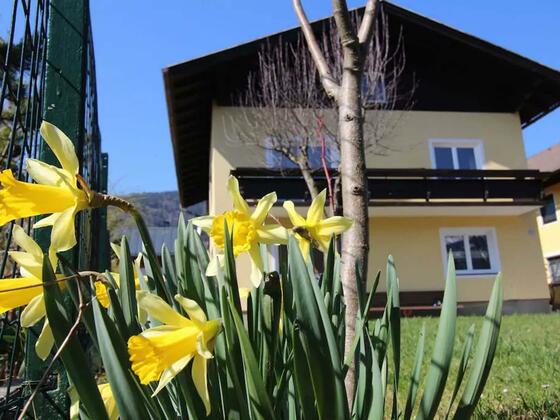 88df9629-ef7a-46d5-9579-d53356b191bc