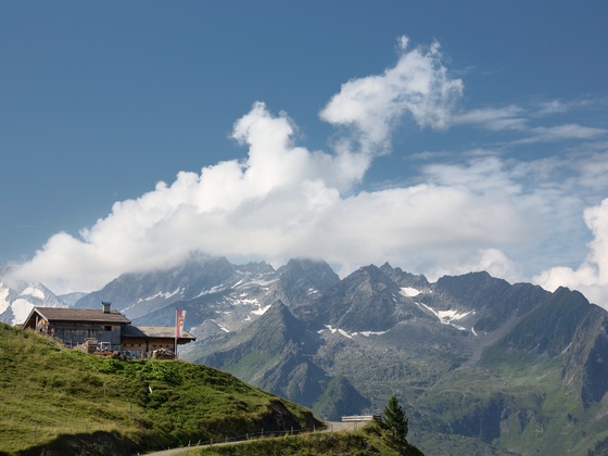 Gletscherblick Alm