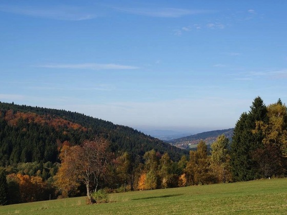 Blick vom Wanderweg nach St. Bernhard durchs Klinglbachtal