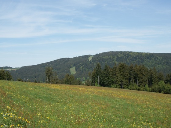 Pröller von Maibrunn am Weg nach Klinglbach