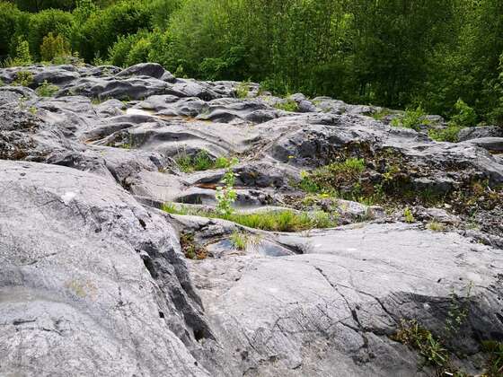 Gletscherschliff Flintsbach