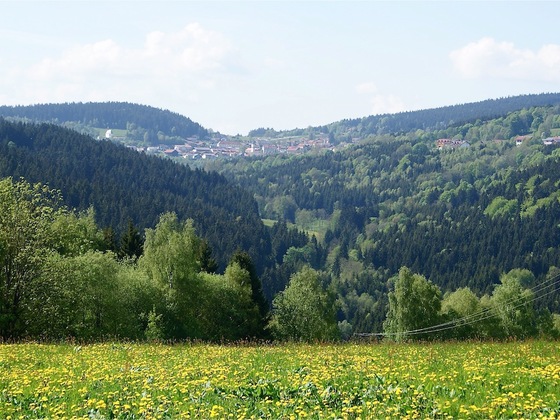 Blick von Rettenbach durch das Englmarbachtal nach St. Englmar