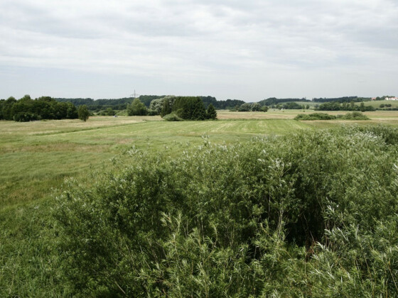 Landschaftsschutzgebiet Freisinger Moos