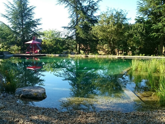 Der Königsgütler Schwimmsee