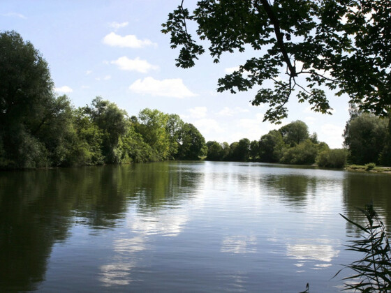 Freising_VöttingerWeiher_Naturaufnahme See2_web_©PR-Agentur_Masell