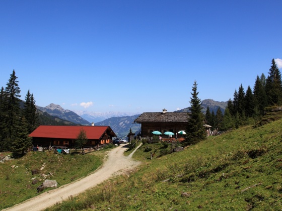 Bachalm, 1.535 m
