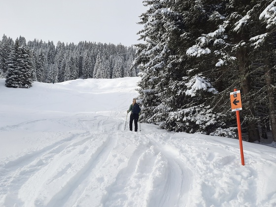 Skitour zum Fulseck
